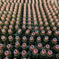 PROOF: 357 Magnum Ammo 158 Grain